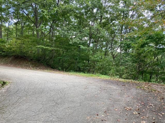 Land for Sale in Nojiri Lake Green Town, Nagano - Thumbnail 4