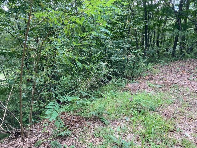 Land for Sale in Nojiri Lake Green Town, Nagano - Thumbnail 2