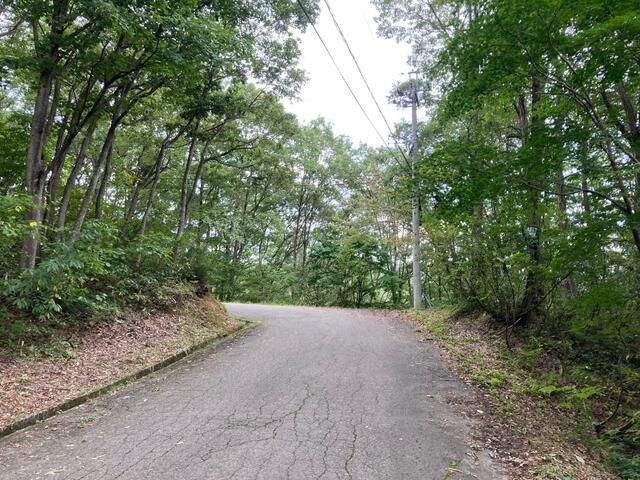 Land for Sale in Nojiri Lake Green Town, Nagano - Thumbnail 3