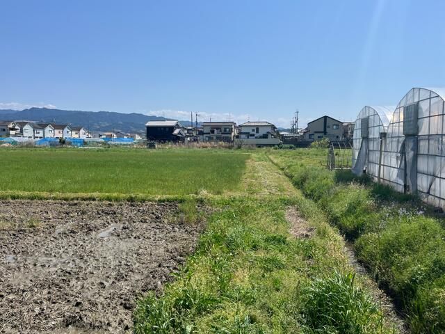 1080 sqm Agricultural Land for Sale in Sakurai, Nara - Thumbnail 4