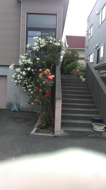 4LDK Detached House with Vaulted Ceiling in Kitahiroshima, Hokkaido - Thumbnail 4