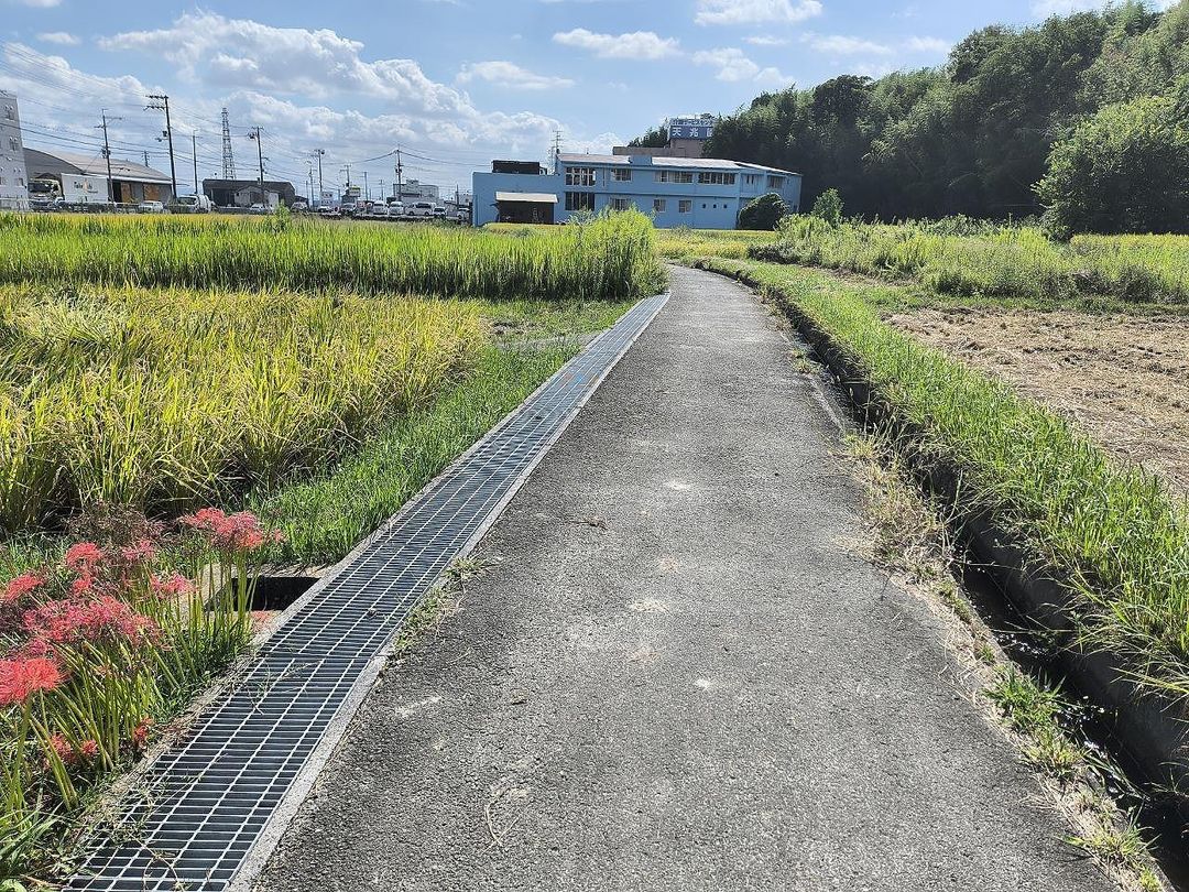 Agricultural Land for Sale in Ibaraki, Osaka - 62 sqm Plot - Thumbnail 3