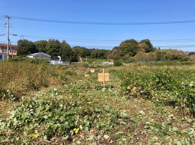 Vacant Land for Home Garden in Kurume, Fukuoka - 82 sqm - Thumbnail 3