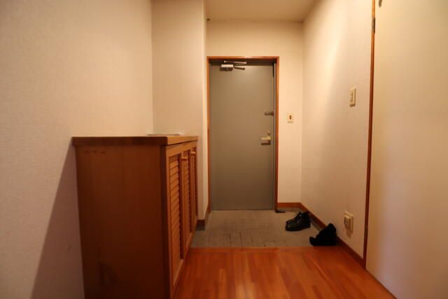 2LDK Suwa Apartment with Onsen & Lake Views | Tower Resort Mansion - Thumbnail 3