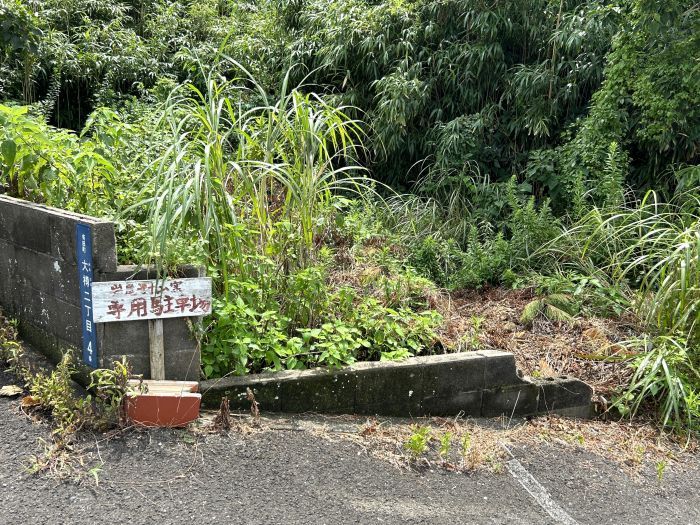 Residential Land for Sale in Arita, Saga - 128.18 sqm Plot - Thumbnail 4