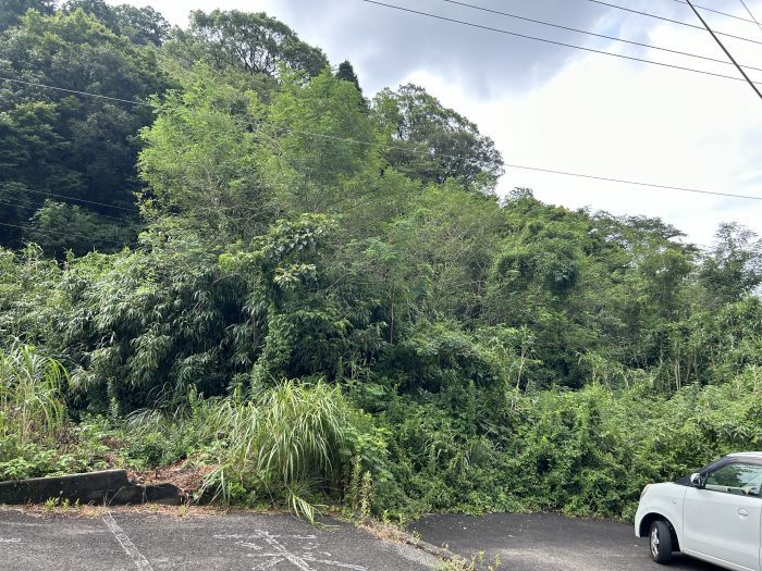 Residential Land for Sale in Arita, Saga - 128.18 sqm Plot - Thumbnail 3