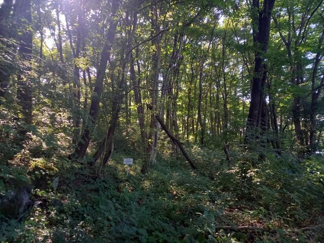 Haruna Echo Highland Land for Sale in Higashiagatsuma, Gunma - Thumbnail 4