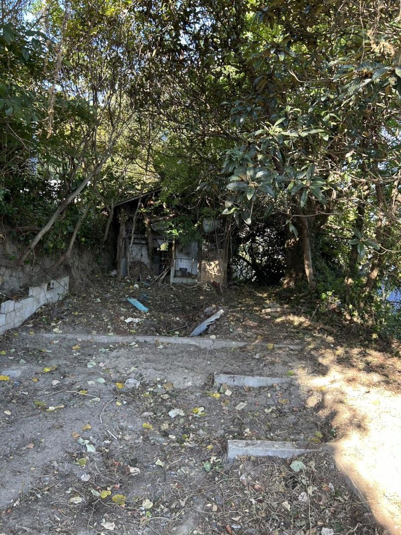 Free Land with Shed & Forest in Etajima, Hiroshima for Storage or Garden - Thumbnail 2