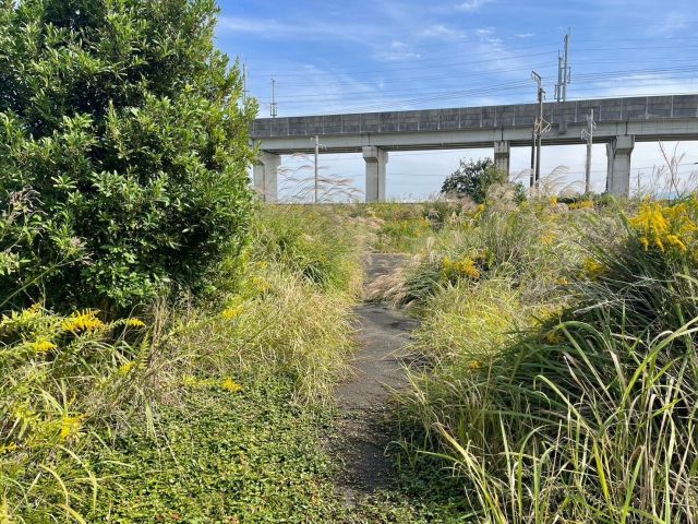 Vacant Land for Sale in Tosu City, Saga - Ideal for Gardening - Thumbnail 3