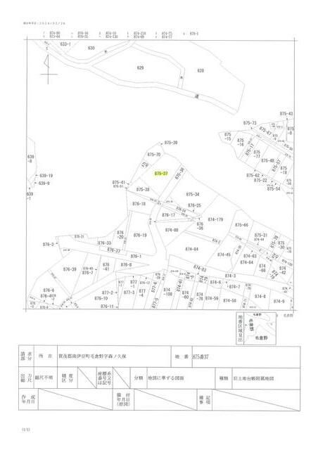 Land for Sale in Minamiizu, Shizuoka - 335 sqm Forest Plot - Thumbnail 3