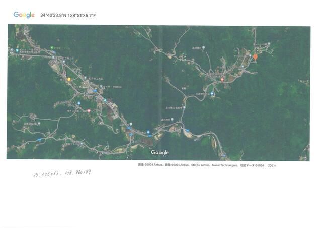 Land for Sale in Minamiizu, Shizuoka - 335 sqm Forest Plot - Thumbnail 2