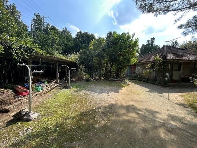 2LDK Traditional House on Large Lot in Nago, Okinawa - Thumbnail 2