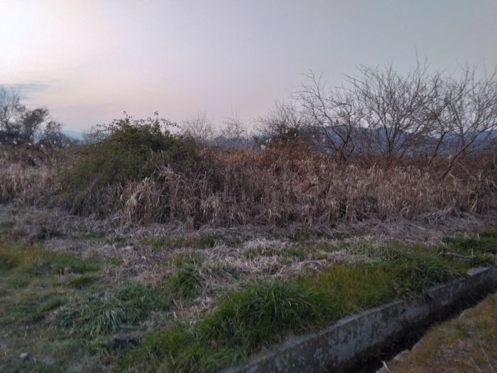 Agricultural Land for Sale in Naruto, Tokushima - 833 sqm Plot - Thumbnail 2