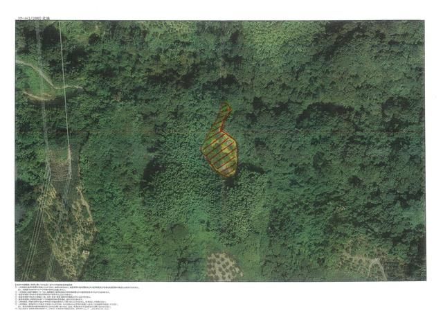 Agricultural Land for Sale in Kinokawa, Wakayama - 2,244 sqm - Thumbnail 2