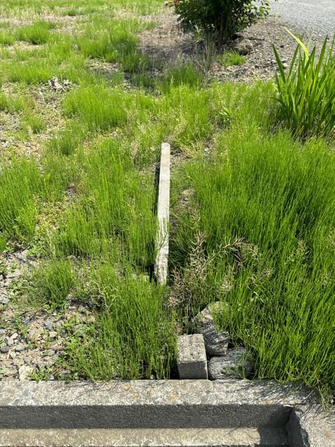 40-Tsubo Residential Land for Sale in Towada, Aomori - Thumbnail 2