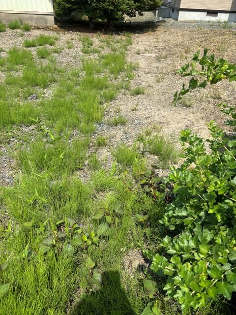 40-Tsubo Residential Land for Sale in Towada, Aomori - Thumbnail 3