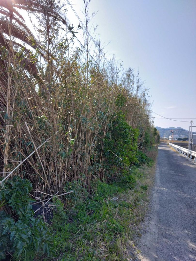Residential Land for Sale in Naruto, Tokushima - 507 sqm Plot - Thumbnail 3