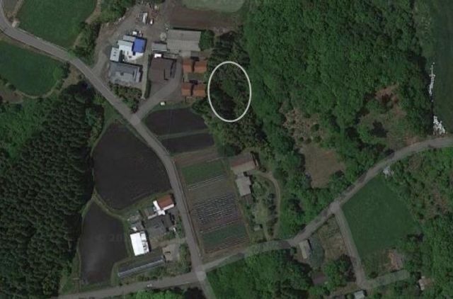 830 sqm Forest Land for Sale in Kuju, Oita Prefecture - Thumbnail 3