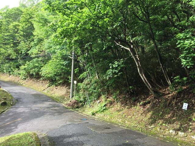 Vacant Forest Land for Villa in Gujo City, Gifu Prefecture - Thumbnail 3
