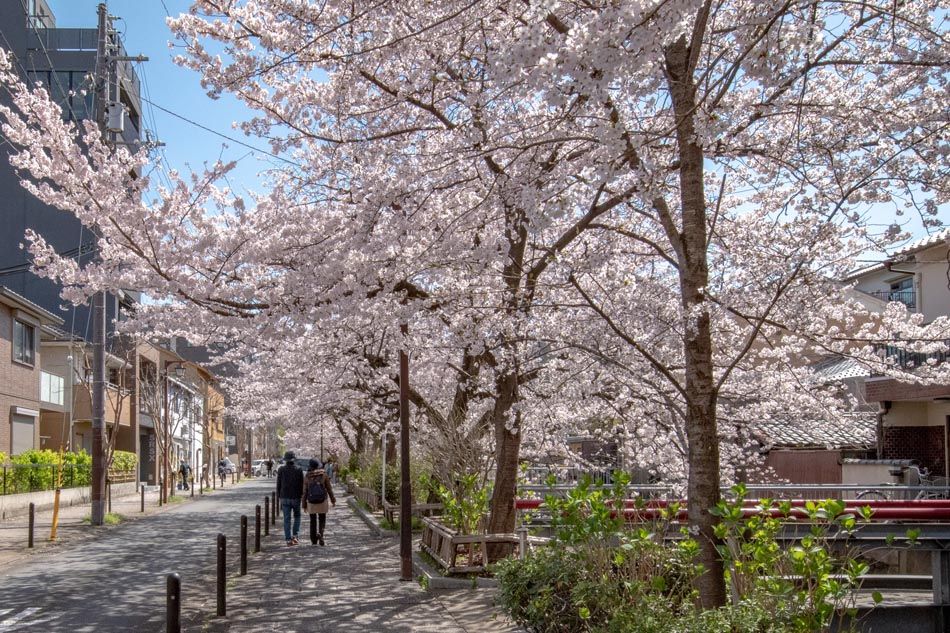 Investment Building for Sale in Gion, Kyoto - Thumbnail 4