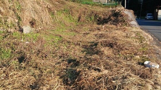Vacant Land for Lease in Shimochi, Nara - 139.96 sqm Plot - Thumbnail 2