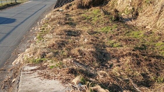 Vacant Land for Lease in Shimochi, Nara - 139.96 sqm Plot - Thumbnail 4