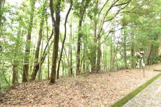 Vacant Land for Sale in Kirishima, Kagoshima - 299 sqm Plot - Thumbnail 2