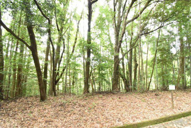 Vacant Land for Sale in Kirishima, Kagoshima - 299 sqm Plot - Thumbnail 3
