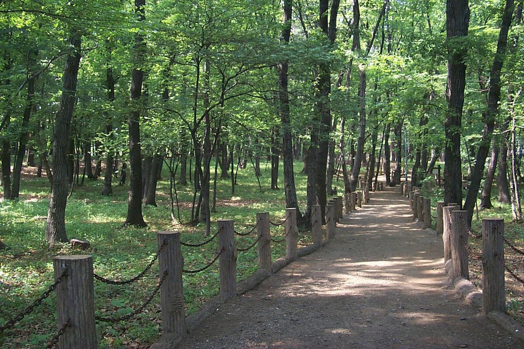 Residential Land Plots for Sale in Nishitokyo, Tokyo - Thumbnail 2