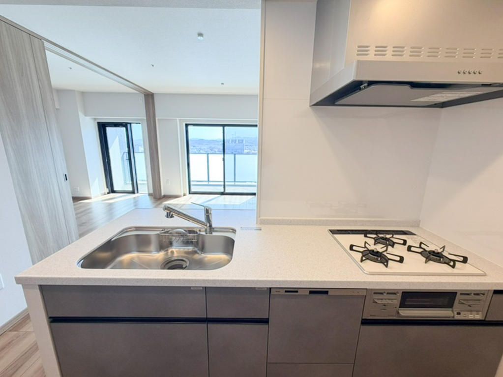 Sun Cradle Takasaki VII 17F - New 2SLDK Tower Apartment - Thumbnail 4