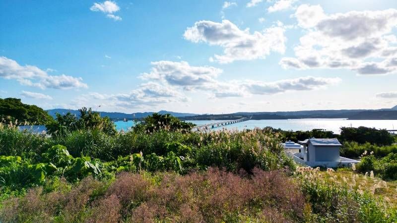 Vacant Land for Sale in Kouri, Nakijin Village, Okinawa - Thumbnail 2