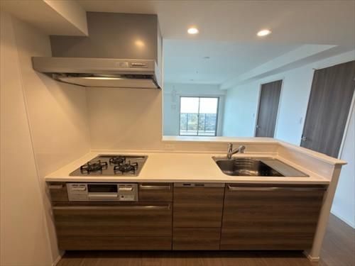 Alpha States Kumamoto Station East 13F 2LDK Condo for Sale - Thumbnail 3