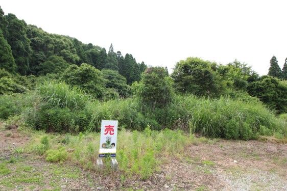 2881 sqm Land with Farmland for Sale in Uto City, Kumamoto - Thumbnail 4