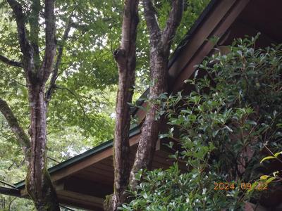 Rustic Hand-Cut Log House in Hanno City with Mountain Views — Image 4, Hanno, Saitama
