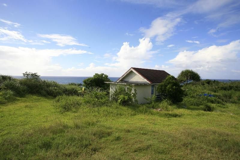 Large 4835sqm Land Plot with Old House in Nakijin, Okinawa - Thumbnail 2