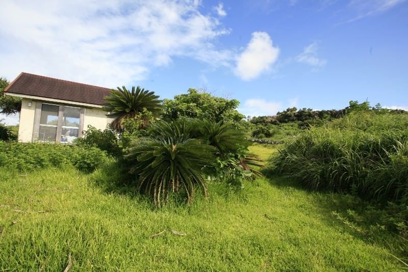 Large 4835sqm Land Plot with Old House in Nakijin, Okinawa - Thumbnail 4