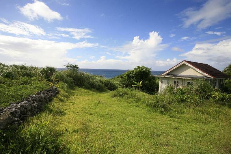 Large 4835sqm Land Plot with Old House in Nakijin, Okinawa - Thumbnail 3
