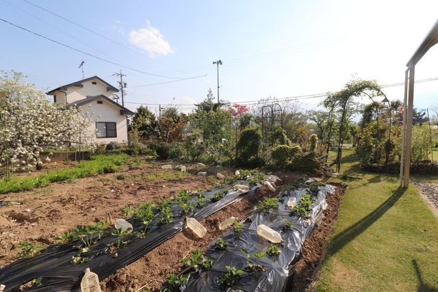 3LDK House for Sale in Azumino with Mountain Views - Thumbnail 4