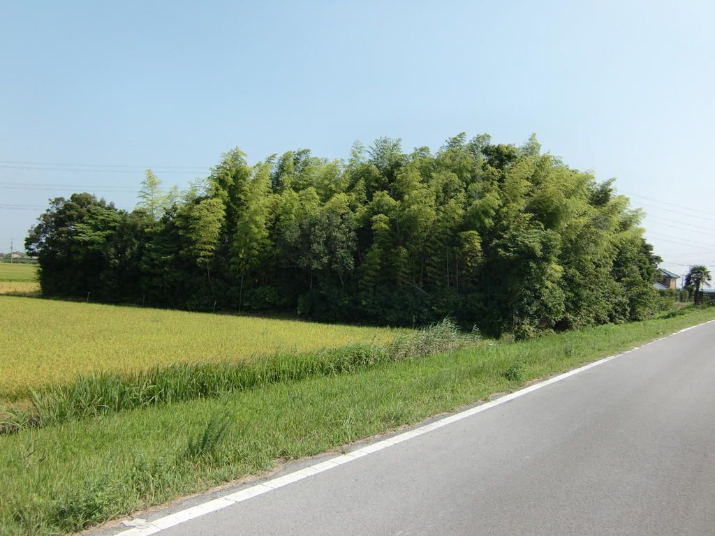 Land for Sale in Inashiki City - 2,722 sqm Lake View Plot - Thumbnail 4