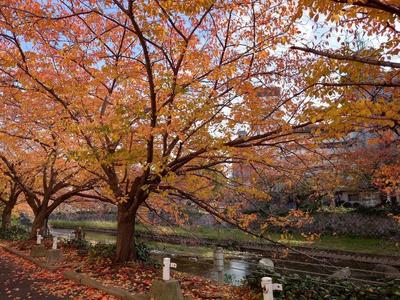 Grand Palace Proud Itozu 15F 3LDK Condo in Kitakyushu — Image 11, Kokura Kita, Fukuoka