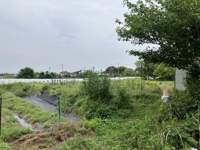 743.64 sqm Vacant Land for Sale in Kagoshima City's Yoshino District - Thumbnail 2