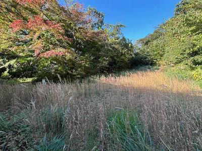 Spacious Hot Spring Villa with Mountain Views in Ito — Image 4, Ito, Shizuoka