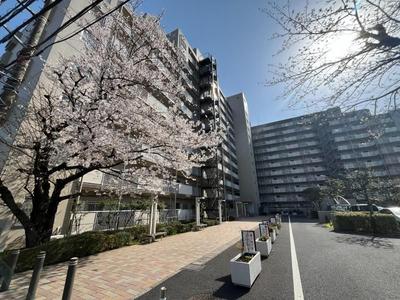 Famille Yatsu 9F 3LDK Apartment for Sale in Narashino — Image 2, Narashino, Chiba