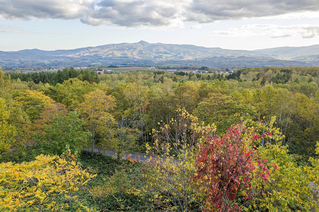 2,025 Tsubo Land for Sale in Soga, Niseko, Hokkaido - Thumbnail 2