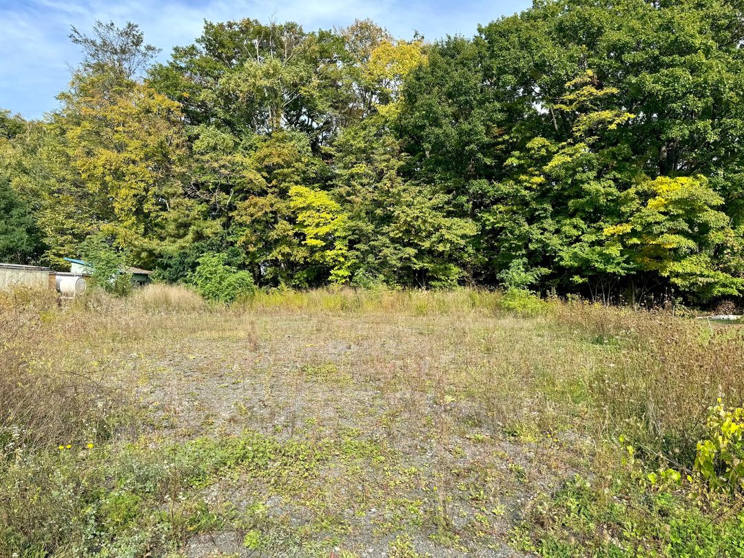 Land in Kitanomine, Furano, Hokkaido - 706.8 sqm - Thumbnail 2