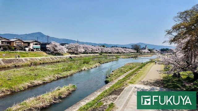Land for Sale in Kita-ku, Kyoto - 226m² Corner Lot - Thumbnail 4