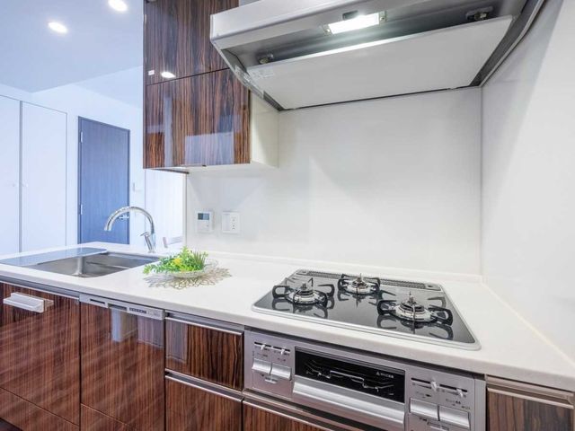 Proud Besshonuma Park Tresage 3LDK Apartment in Saitama - Thumbnail 4