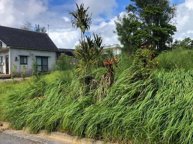 86 Tsubo Land Plot for Sale in Onna Village, Okinawa - Thumbnail 3