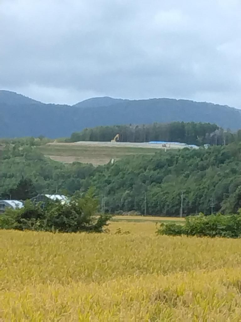 12,015 sqm Forest Land for Sale in Niki Town, Hokkaido - Thumbnail 3