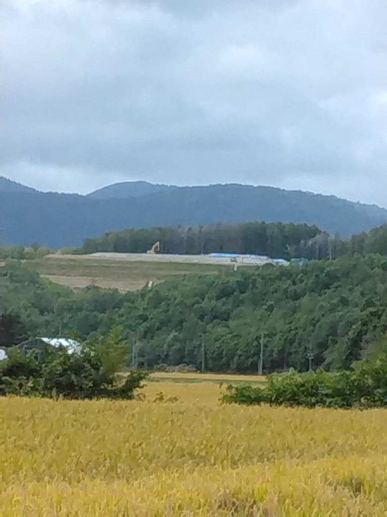 12,015 sqm Forest Land for Sale in Niki Town, Hokkaido - Thumbnail 2